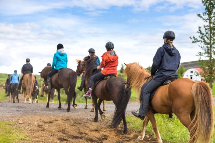 Group of tourist in a horseriding tour with Icelandic horses
