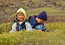 Brother and sister playing in Iceland lava field during family vacation