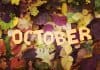 October weather in Iceland graphic with fall leaves