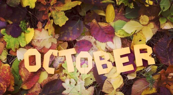 October weather in Iceland graphic with fall leaves