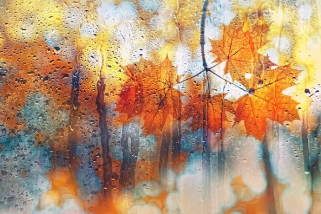 Rainy, fall weather in Iceland during October
