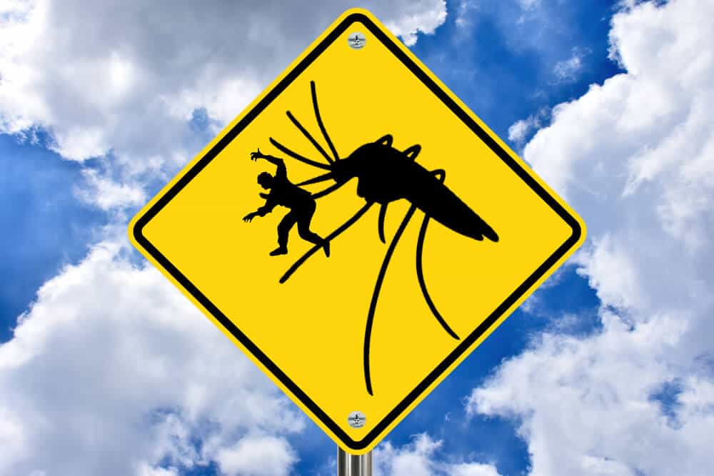 Warning sign about Mosquitos in Iceland are improbable
