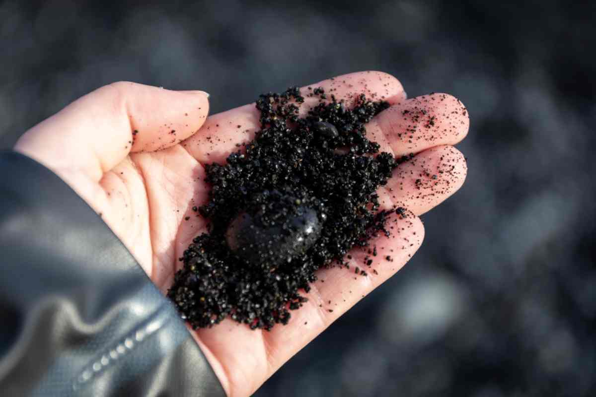 woman holding some black sand in her hands