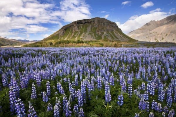 Camping In Iceland In April