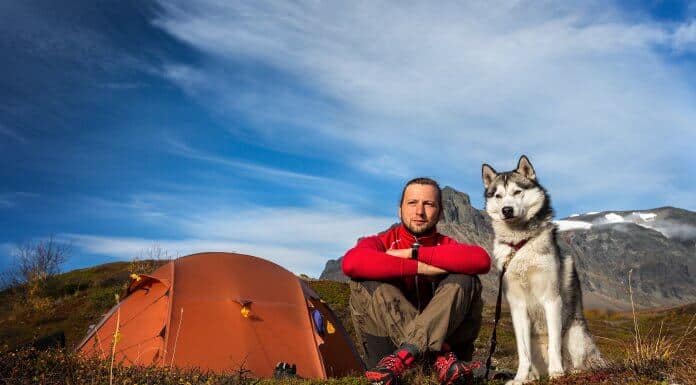 Pet Friendly Iceland Campsites