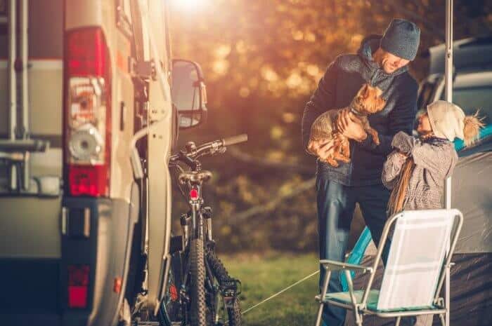 Pet Friendly Iceland Campsites
