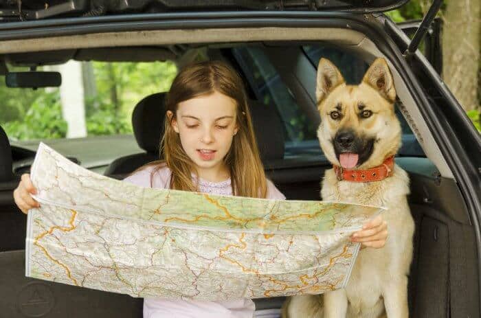 Pet Friendly Iceland Campsites