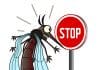 Stop mosquito sign as in there are barely mosquitoes in Iceland