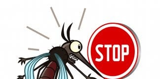 Stop mosquito sign as in there are barely mosquitoes in Iceland