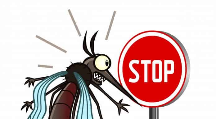 Stop mosquito sign as in there are barely mosquitoes in Iceland