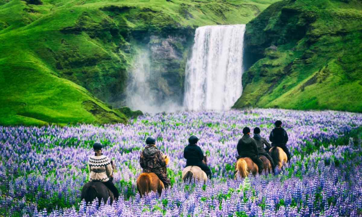 Group riding horses with a beautiful Icelandic waterfall behind