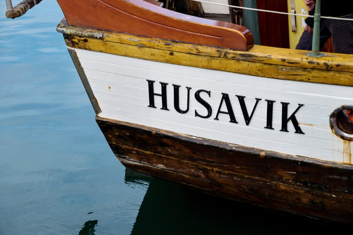 Whale watching in Iceland Húsavik boat