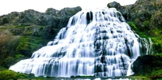 A close-up view of the massive Dynjandi Waterfall, showcasing the intricate tiers of cascading water as it tumbles over the rocks. The water appears to flow in sheets, creating a stunning display of Iceland’s raw natural power and beauty.