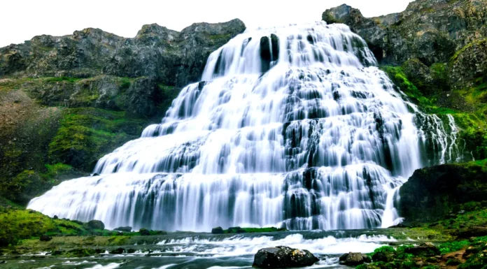 A close-up view of the massive Dynjandi Waterfall, showcasing the intricate tiers of cascading water as it tumbles over the rocks. The water appears to flow in sheets, creating a stunning display of Iceland’s raw natural power and beauty.